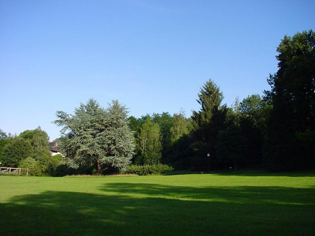 Chambres D'Hotes " Le Magnolia " (Adults Only) Sainte-Croix-aux-Mines Esterno foto